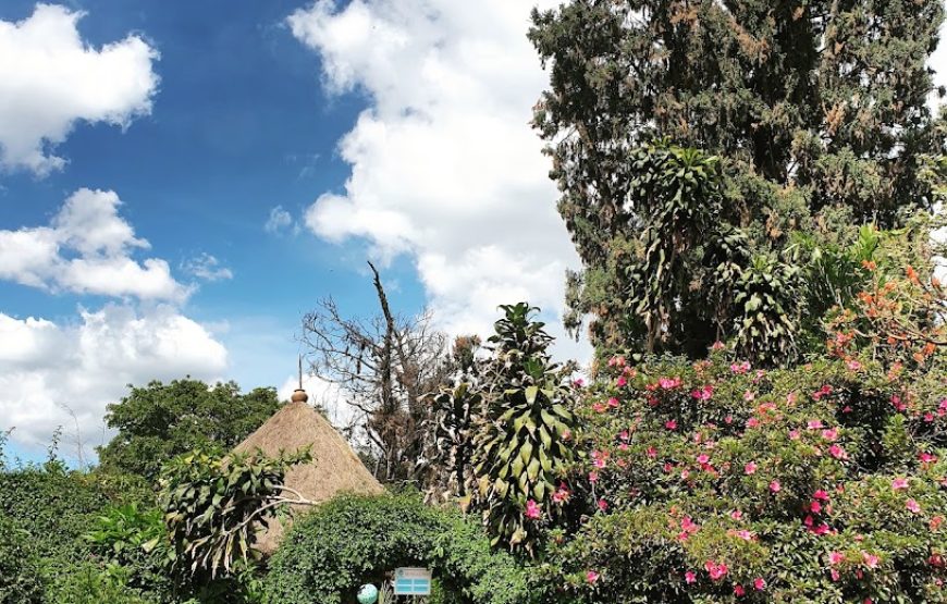 Dian Fossey’s Room