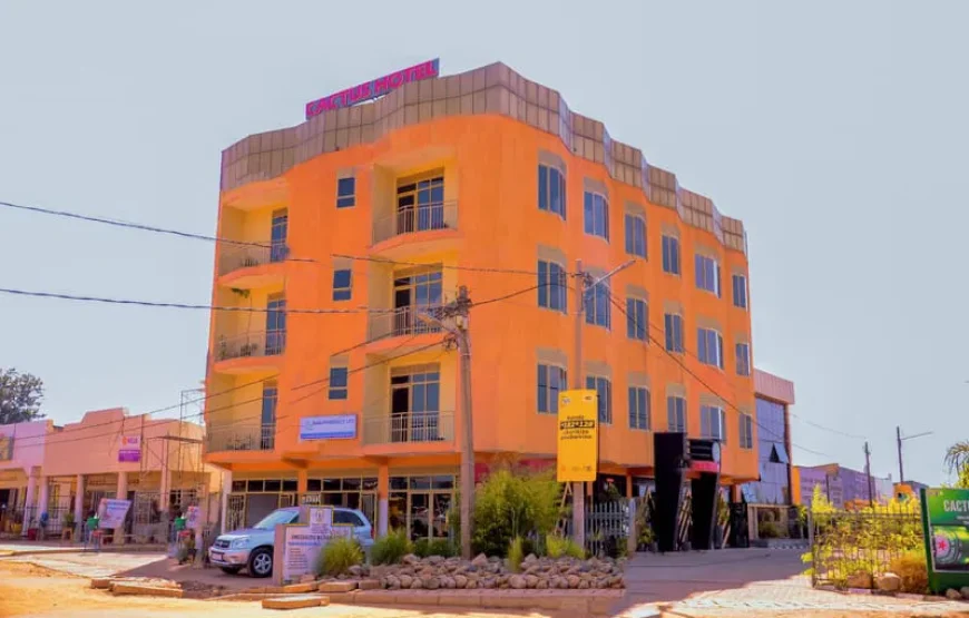 Cactus Hotel