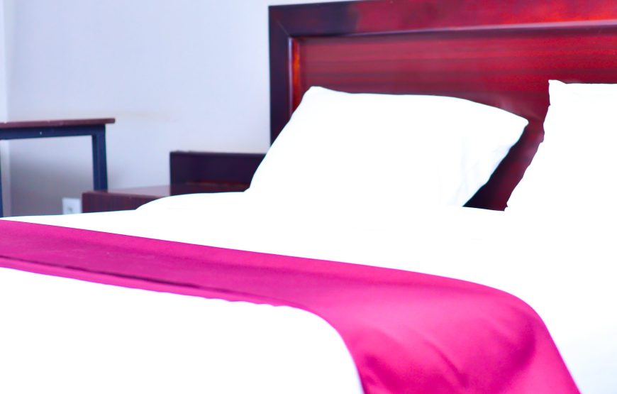 Cactus Single Room