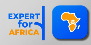 Welcome to www.expertforafrica.com ("we," "our," or "us"). Your privacy is critically important to us. This Privacy Policy explains how we collect, use, disclose, and safeguard your information when you visit our website, which specializes in listing real estate, vehicles, jobs, events, and accommodations such as hotels, motels, and hostels.